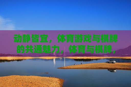 动静皆宜，体育游戏与棋牌的共通魅力，体育与棋牌，动静皆宜的共通魅力