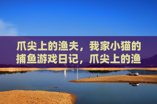 爪尖上的渔夫，我家小猫的捕鱼游戏日记，爪尖上的渔夫，小猫捕鱼日记