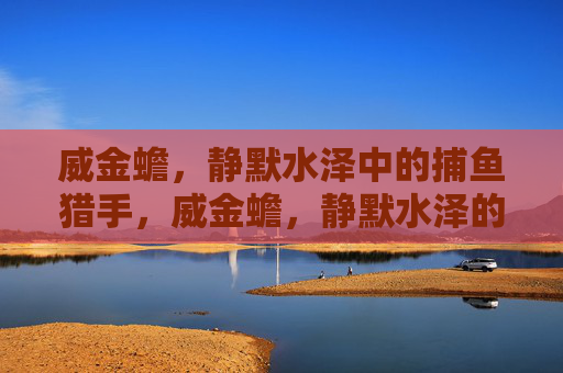 威金蟾，静默水泽中的捕鱼猎手，威金蟾，静默水泽的捕鱼猎手