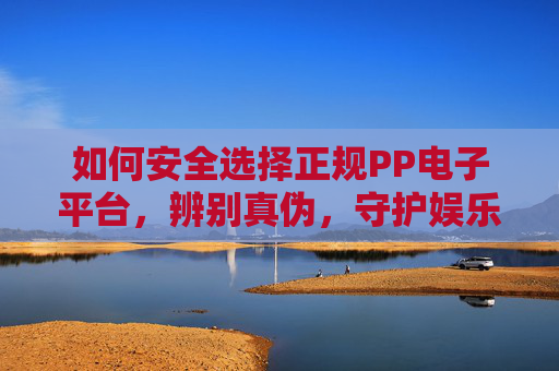 如何安全选择正规PP电子平台，辨别真伪，守护娱乐安全，安全选择正规PP电子平台，辨别真伪，守护娱乐安全