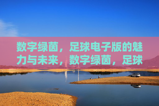 数字绿茵，足球电子版的魅力与未来，数字绿茵，足球电子版的魅力与未来