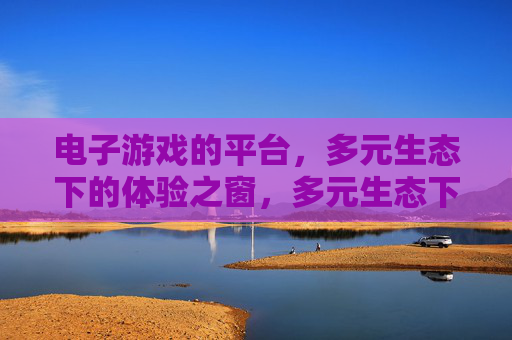 电子游戏的平台,多元生态下的体验之窗,多元生态下的电子游戏体验之窗 电子游戏的平台,多元生态下的体验之窗,多元生态下的电子游戏体验之窗