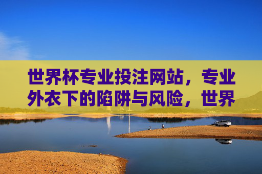 世界杯专业投注网站，专业外衣下的陷阱与风险，世界杯专业投注网站，外衣光鲜，陷阱重重