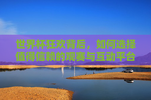 世界杯狂欢背后，如何选择值得信赖的观赛与互动平台？世界杯狂欢，如何选对观赛互动平台？