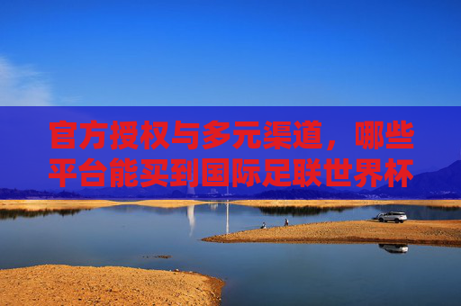 官方授权与多元渠道，哪些平台能买到国际足联世界杯的入场券与专属记忆？官方授权与多元渠道，国际足联世界杯入场券与专属记忆购买平台