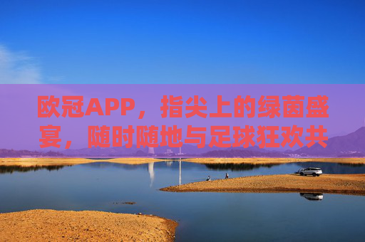 欧冠APP，指尖上的绿茵盛宴，随时随地与足球狂欢共振，欧冠APP，指尖狂欢，绿茵盛宴随时共振