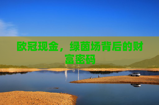 欧冠现金，绿茵场背后的财富密码
