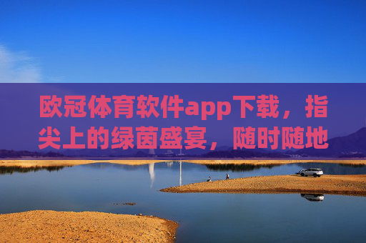 欧冠体育软件app下载，指尖上的绿茵盛宴，随时随地沉浸足球激情，欧冠体育APP下载，指尖绿茵盛宴，随时随地燃情足球