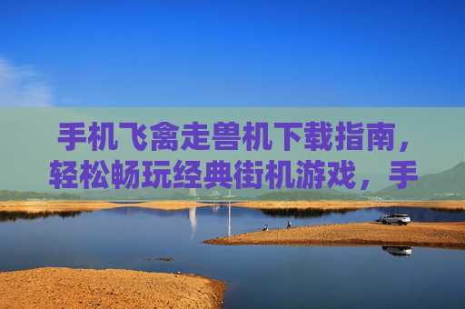 手机飞禽走兽机下载指南，轻松畅玩经典街机游戏，手机飞禽走兽机下载指南，轻松畅玩经典街机游戏