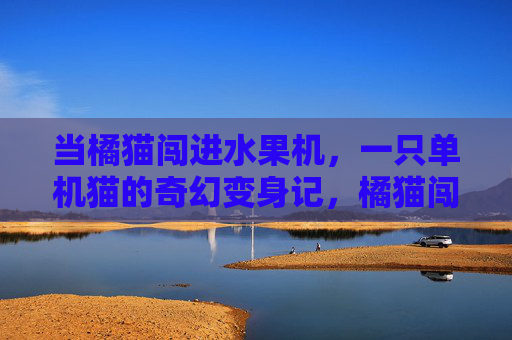 当橘猫闯进水果机,一只单机猫的奇幻变身记,橘猫闯水果机,单机猫奇幻变身记 当橘猫闯进水果机,一只单机猫的奇幻变身记,橘猫闯水果机,单机猫奇幻变身记