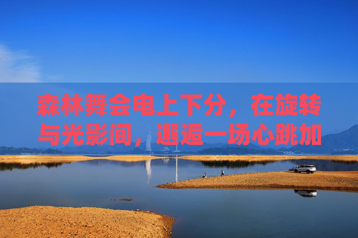 森林舞会电上下分，在旋转与光影间，邂逅一场心跳加速的丛林狂欢，森林舞会电上下分，旋转光影的心跳狂欢