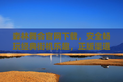 森林舞会官网下载，安全畅玩经典街机乐趣，正版渠道指南，森林舞会官网下载，正版安全畅玩经典街机乐趣