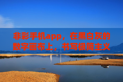 非彩手机app，在黑白灰的数字画布上，书写极简主义的当代答案，黑白数字画布，极简主义的当代答案