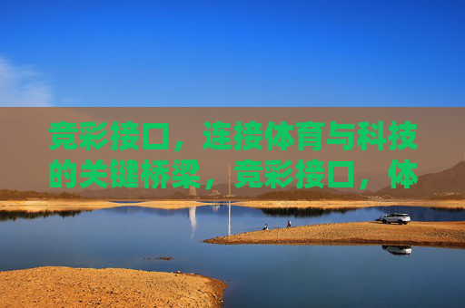 竞彩接口，连接体育与科技的关键桥梁，竞彩接口，体育与科技的关键桥梁