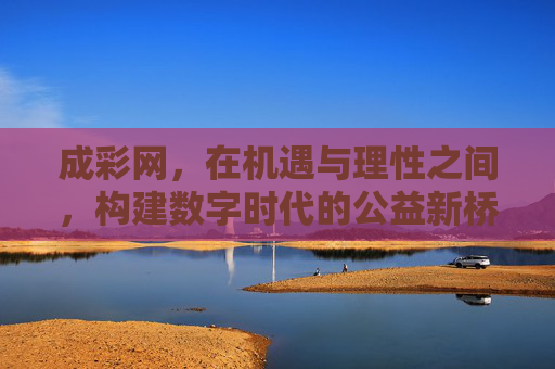 成彩网，在机遇与理性之间，构建数字时代的公益新桥梁，成彩网，数字时代机遇与理性的公益新桥梁