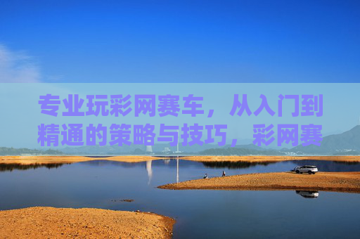 专业玩彩网赛车，从入门到精通的策略与技巧，彩网赛车从入门到精通，策略与技巧