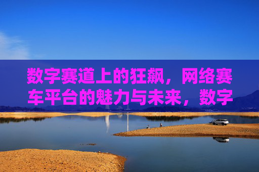 数字赛道上的狂飙，网络赛车平台的魅力与未来，数字赛道狂飙，网络赛车平台的魅力与未来