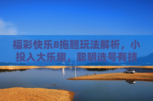 福彩快乐8拖胆玩法解析，小投入大乐趣，聪明选号有技巧