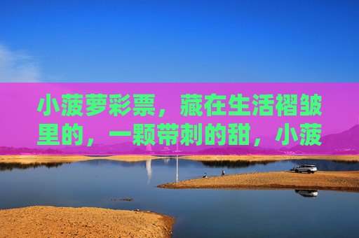 小菠萝彩票，藏在生活褶皱里的，一颗带刺的甜，小菠萝彩票，藏在生活褶皱里的带刺甜
