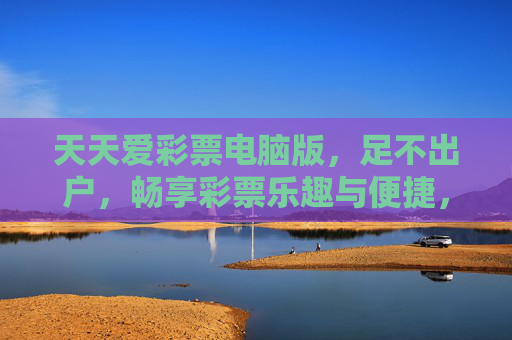 天天爱彩票电脑版，足不出户，畅享彩票乐趣与便捷，天天爱彩票电脑版，足不出户，畅享乐趣与便捷