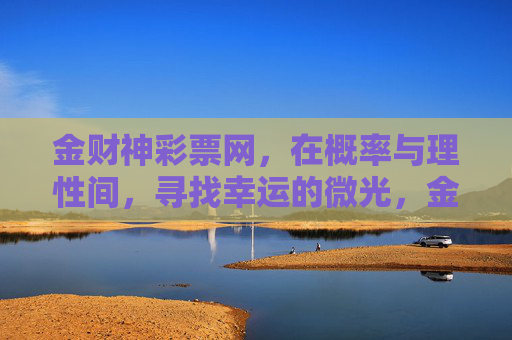 金财神彩票网，在概率与理性间，寻找幸运的微光，金财神，概率与理性间的幸运微光