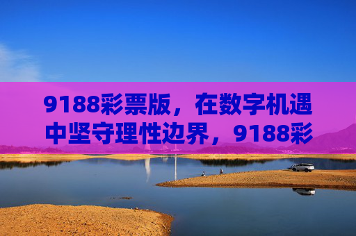 9188彩票版，在数字机遇中坚守理性边界，9188彩票版，数字机遇中的理性边界