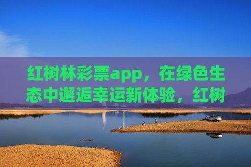 红树林彩票app，在绿色生态中邂逅幸运新体验，红树林彩票app，绿色生态中的幸运新体验