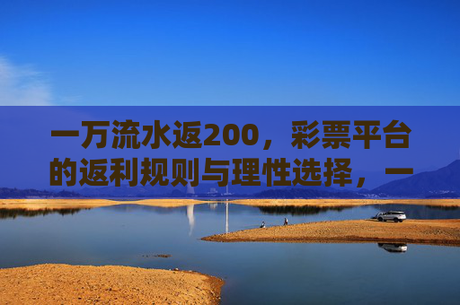 一万流水返200，彩票平台的返利规则与理性选择，一万流水返200，彩票返利规则与理性选择