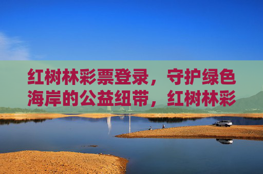 红树林彩票登录，守护绿色海岸的公益纽带，红树林彩票登录，守护绿色海岸的公益纽带