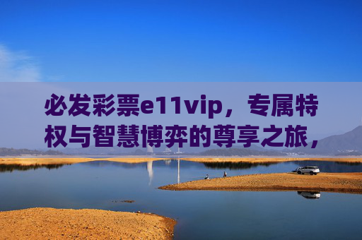 必发彩票e11vip，专属特权与智慧博弈的尊享之旅，必发彩票e11vip，专属特权与智慧博弈的尊享之旅