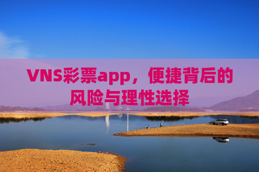 VNS彩票app，便捷背后的风险与理性选择