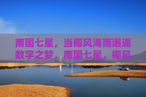 南国七星，当椰风海雨邂逅数字之梦，南国七星，椰风海雨邂逅数字之梦