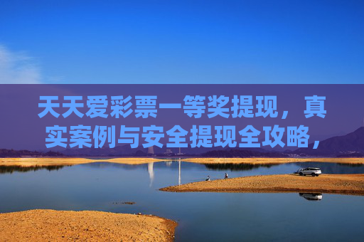 天天爱彩票一等奖提现，真实案例与安全提现全攻略，天天爱彩票一等奖提现真实案例与安全提现全攻略