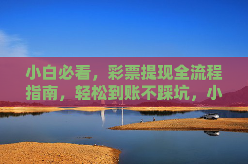 小白必看，彩票提现全流程指南，轻松到账不踩坑，小白必看，彩票提现全流程，轻松到账不踩坑