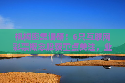 机构密集调研！6只互联网彩票概念股获重点关注，业绩增长潜力几何？机构密集调研6只互联网彩票概念股 业绩增长潜力几何？