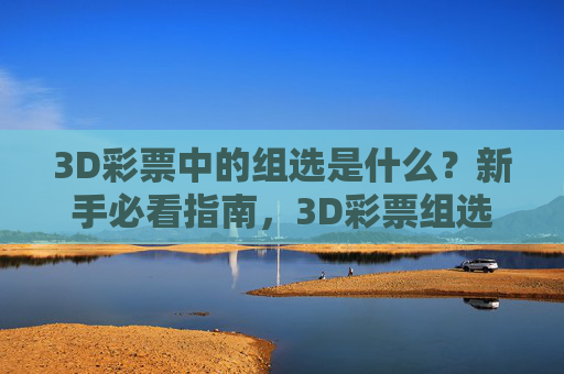 3D彩票中的组选是什么？新手必看指南，3D彩票组选，新手必看指南