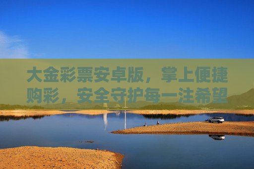 大金彩票安卓版，掌上便捷购彩，安全守护每一注希望，大金彩票安卓版，掌上便捷购彩，安全守护每一注希望