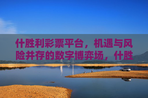 什胜利彩票平台，机遇与风险并存的数字博弈场，什胜利彩票平台，机遇与风险的数字博弈场