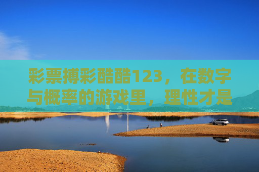 彩票搏彩酷酷123，在数字与概率的游戏里，理性才是永远的酷，数字与概率的游戏里，理性才是永远的酷