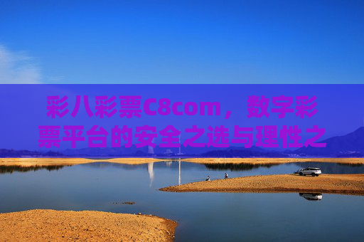 彩八彩票C8com，数字彩票平台的安全之选与理性之径