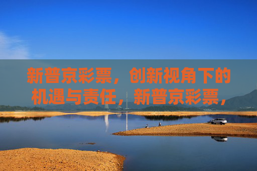新普京彩票，创新视角下的机遇与责任，新普京彩票，创新视角下的机遇与责任