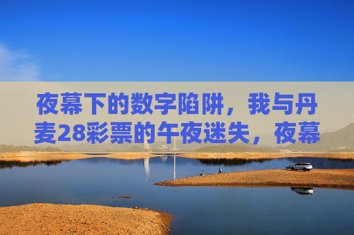 夜幕下的数字陷阱，我与丹麦28彩票的午夜迷失，夜幕下的数字陷阱，丹麦28彩票的午夜迷失