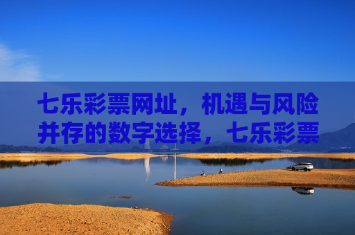 七乐彩票网址，机遇与风险并存的数字选择，七乐彩票网址，数字选择的机遇与风险