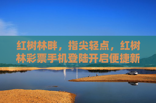 红树林畔，指尖轻点，红树林彩票手机登陆开启便捷新体验，红树林彩票手机登陆，指尖轻点，便捷新体验