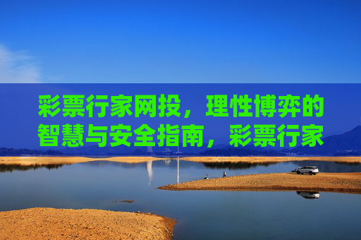 彩票行家网投，理性博弈的智慧与安全指南，彩票行家网投，理性博弈的智慧与安全指南
