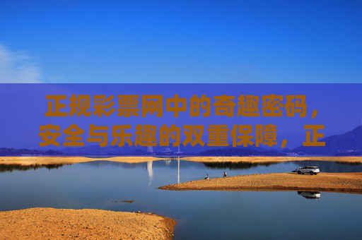 正规彩票网中的奇趣密码，安全与乐趣的双重保障，正规彩票网奇趣密码，安全乐趣双保障
