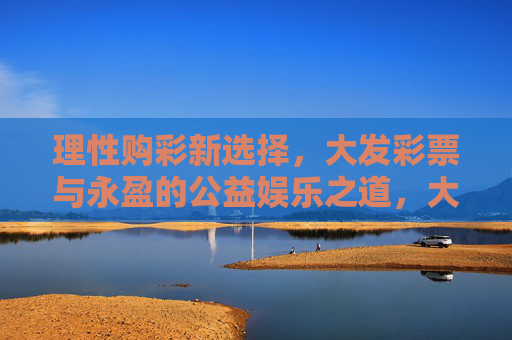 理性购彩新选择，大发彩票与永盈的公益娱乐之道，大发彩票与永盈，理性购彩的公益娱乐之道