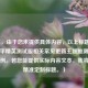 （注，由于您未提供具体内容，以上标题是根据和平精英测试服相关常见更新主题推测生成的示例。若您能提供实际内容文本，我将为您精准定制标题。）