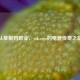 从草根到职业，yzk.csgo的电竞传奇之路