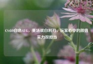 CS:GO白色AUG，赛场银白利刃，玩家心中的颜值实力双担当